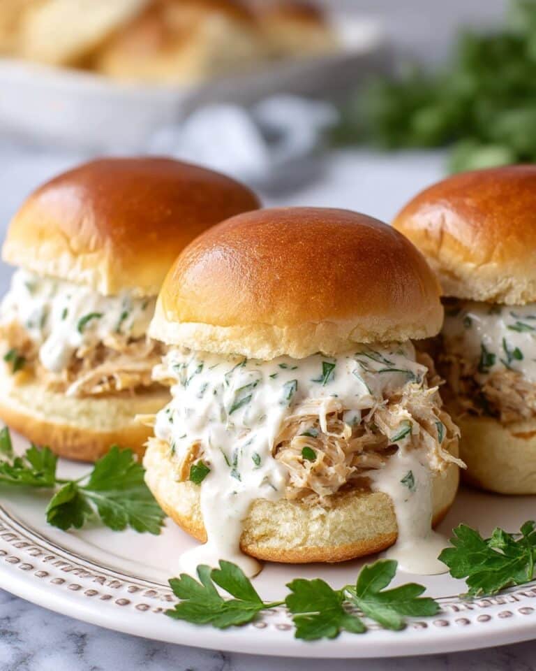 Chicken Alfredo Sloppy Joes Recipe